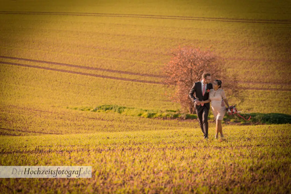 Braut und Bräutigam stehen gemeinsam in einem goldenen Feld im Abendlicht